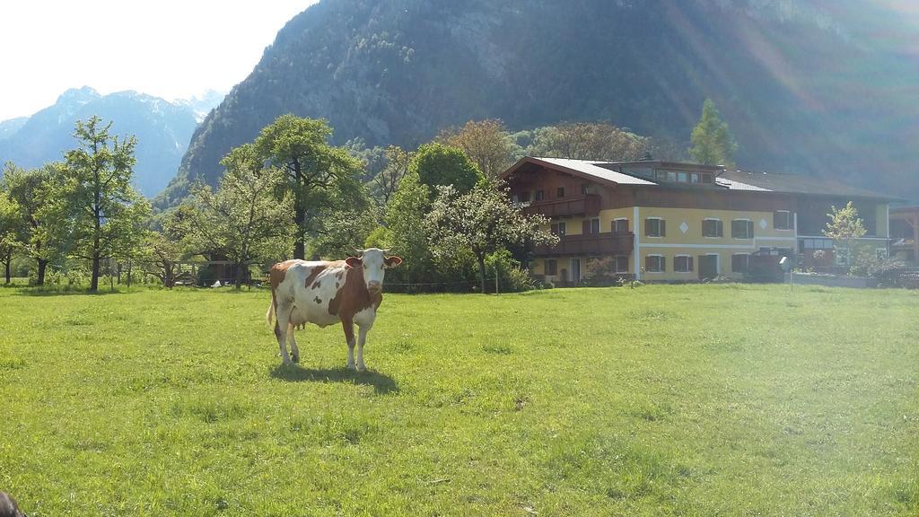 Apartamento Starbauer Golling an der Salzach Exterior foto