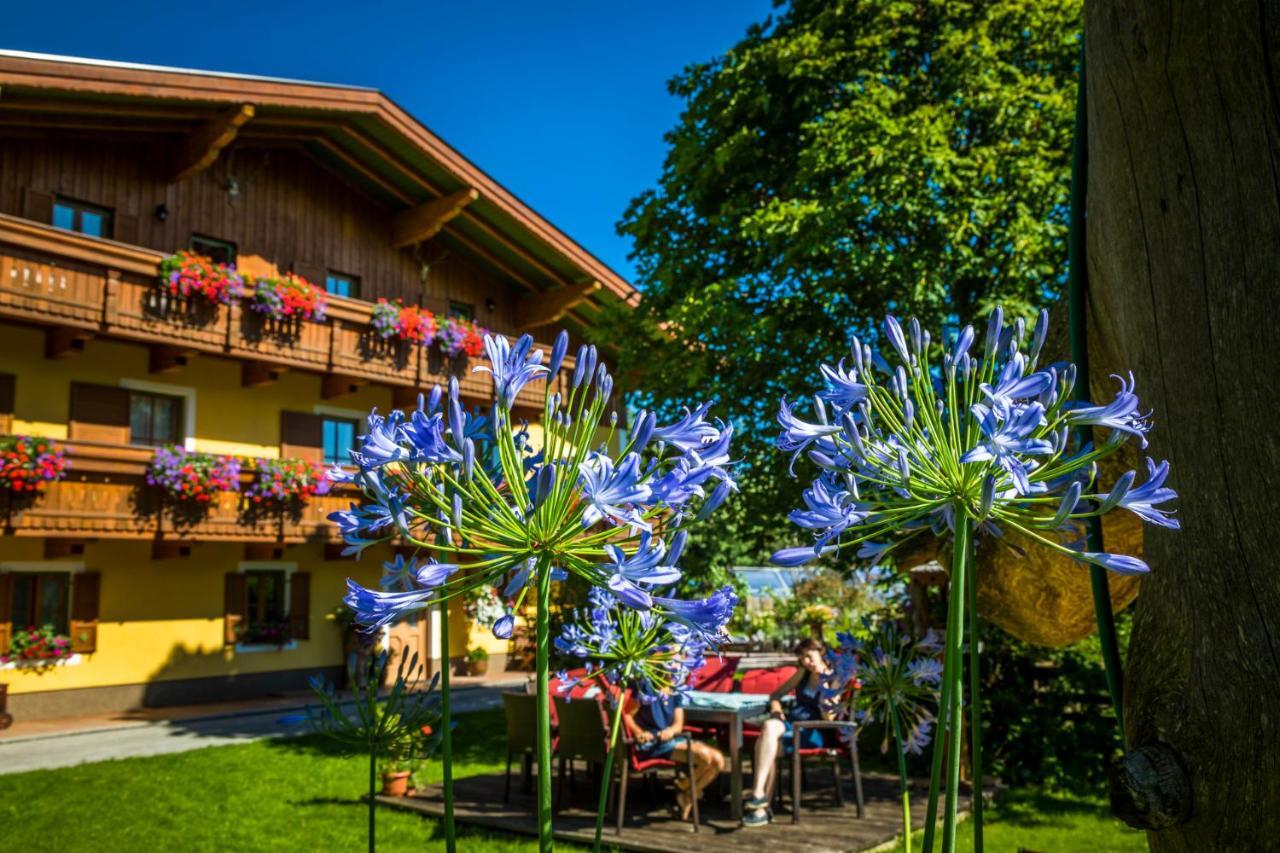 Apartamento Starbauer Golling an der Salzach Exterior foto